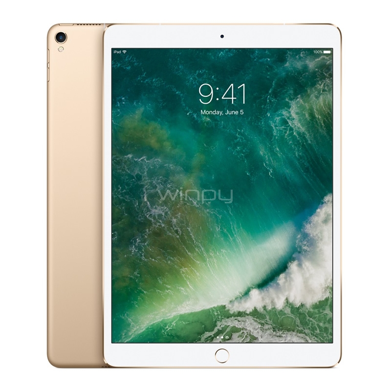 iPad Pro Apple (Wi-Fi + Cellular, 512GB, Gold)