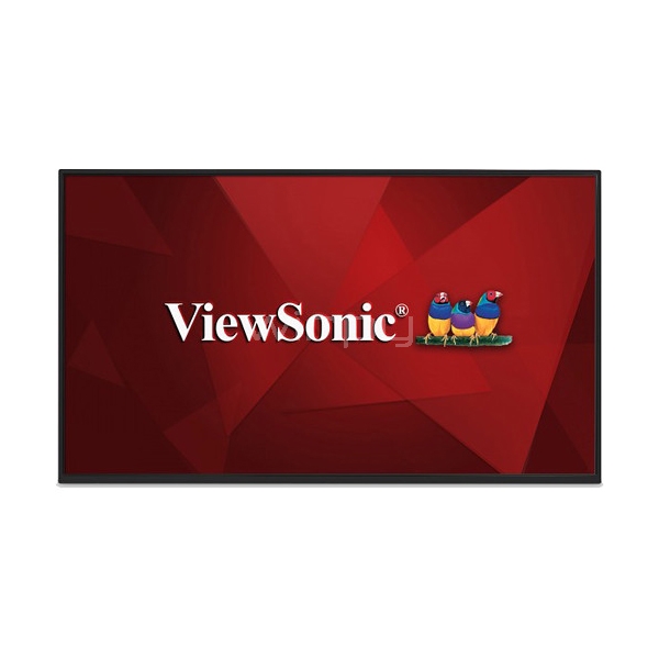 Pantalla comercial ViewSonic CDM4900R de 49 pulgadas (TN, Full HD, DP + HDMI + DVI + LAN + Wi-Fi)