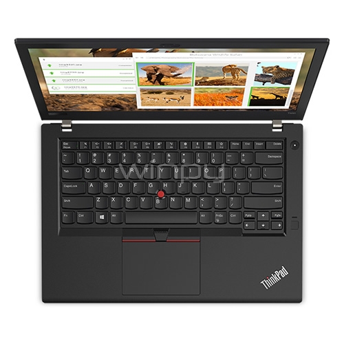 Notebook Lenovo ThinkPad T480 (i7-8550U, 8GB DDR4, 1TB HDD, Pantalla 14, Win10 Pro)