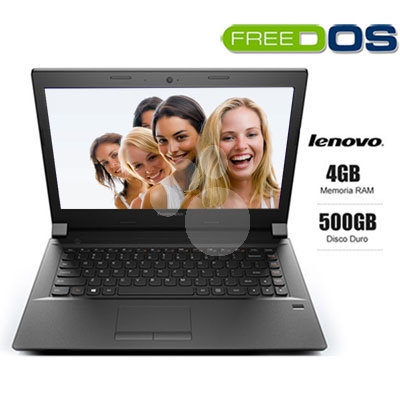 Notebook Lenovo B41-30 80LF0003CL