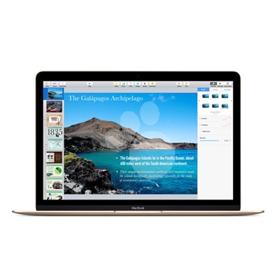 Apple MacBook 12 Gold MLHE2CI/A (Early 2016)